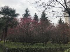 -木塔寺遗址生态公园