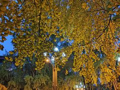 -四川大学(华西校区)