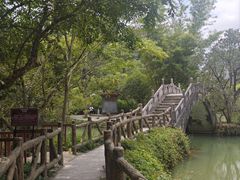 -靖西鹅泉风景区