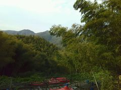 -宁波浙东大竹海景区