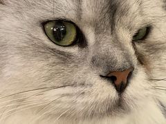 -平行世界·猫咖(首经贸店)