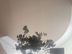 -鲸落SPA(番禺长隆店)