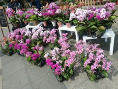 -白塘生态植物园