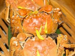 -成隆行·蟹王府(九江路店)