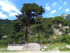 -秦岭终南山世界地质公园翠华山景区