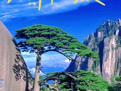 -黄山风景区
