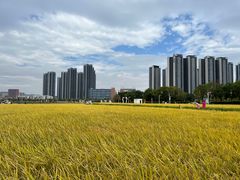 -光明小镇欢乐田园