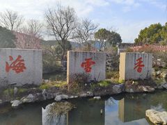 -香雪海