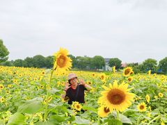 -苏州湾体育公园