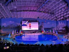 -海合安武汉极地海洋公园