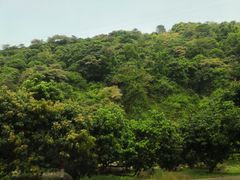 -广州市石门国家森林公园