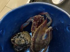 -澜悦港海鲜体验主题餐厅