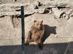 -新疆天山野生动物园