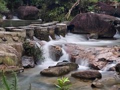 -广州白江湖森林公园