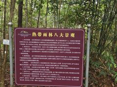 -海南热带雨林国家公园吊罗山景区