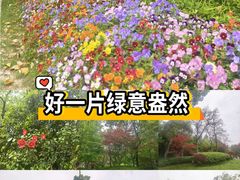 -上海瑞金洲际酒店