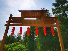 -渌洋湖湿地公园
