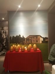 -奈瑞儿美颜塑身SPA