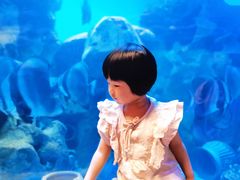 -芜湖新华联大白鲸海洋公园