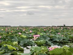 -铁锅炖灶台鱼老三炖鱼馆