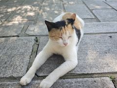 -沈阳市东陵公园