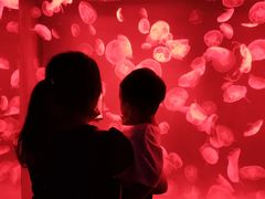 -多彩贵州城极地海洋世界