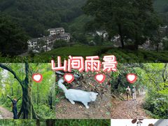 -十里琅珰