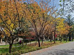 -少华山国家森林公园