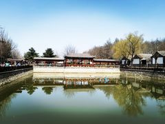 -尚庄度假村·庭台树下·户外烧烤·团建CS·轰趴营地(上庄水库店)
