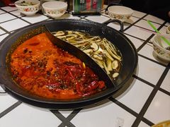 -朱光玉火锅馆(正弘城店)