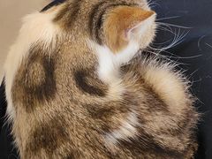 -平行世界·猫咖(首经贸店)