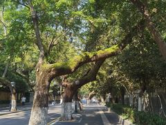 -颐和路民国时期公馆风貌区