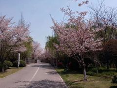 -尚贤河湿地
