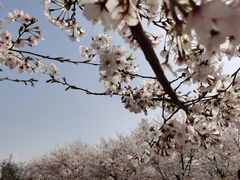 -龙美术馆(西岸馆)