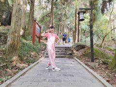 -大围山国家森林公园