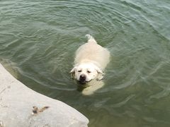 -天津金海湖