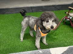 -CrossFit MET综合体能训练馆(朝阳路店)