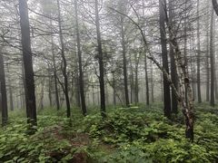 -白草畔自然风景区