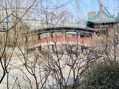 -迎泽公园