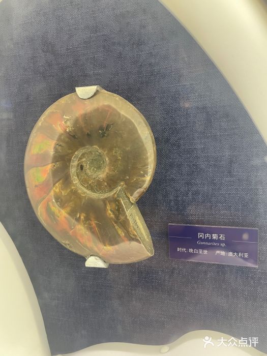 国家自然博物馆图片