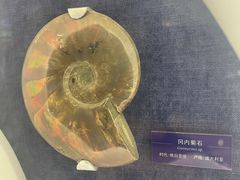 -国家自然博物馆