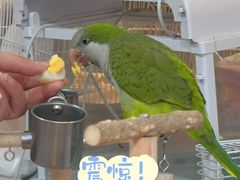 -金汇四季广场