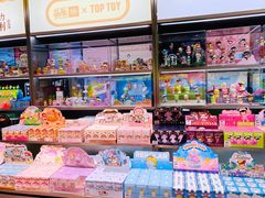 -TOP TOY(新南凯德广场店)