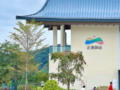 -丰依竹食·老牌竹筒饭