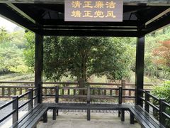 -九龙潭景区