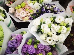 -双季花艺园艺市场(浦东店)