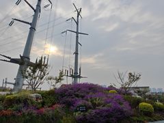 -金银湖国家城市湿地公园