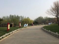 -塘沽森林公园