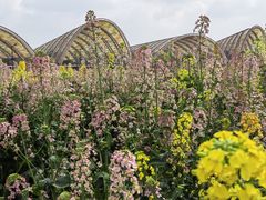 -中国天府农业博览园