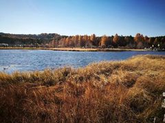 -塞罕坝国家级自然保护区